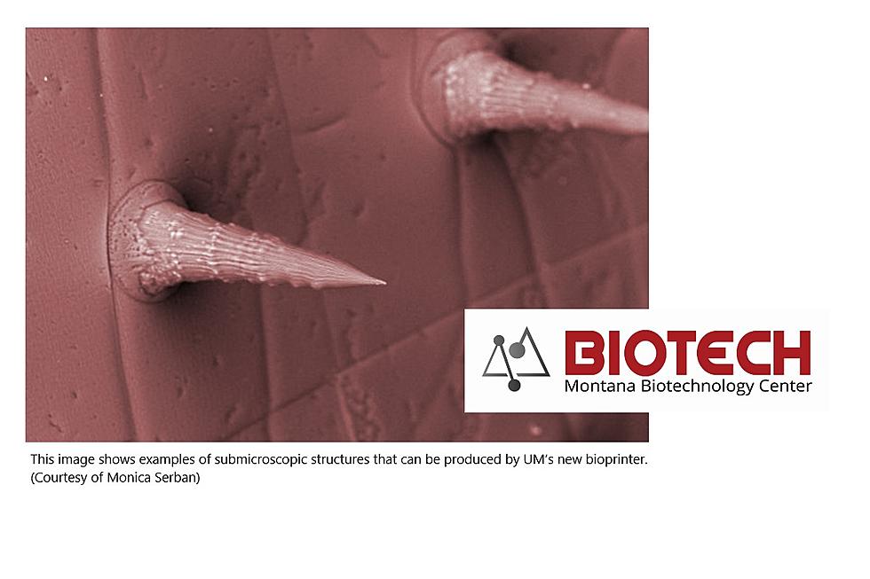 UM Earns Research Award for Submicroscopic 3D Printer