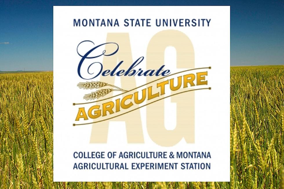 MSU College of Agriculture Seeks Nominations for Outstanding Agricultural Leaders