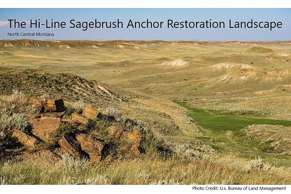 BLM Announces $26.9 Million for Landscape Restoration in Montana