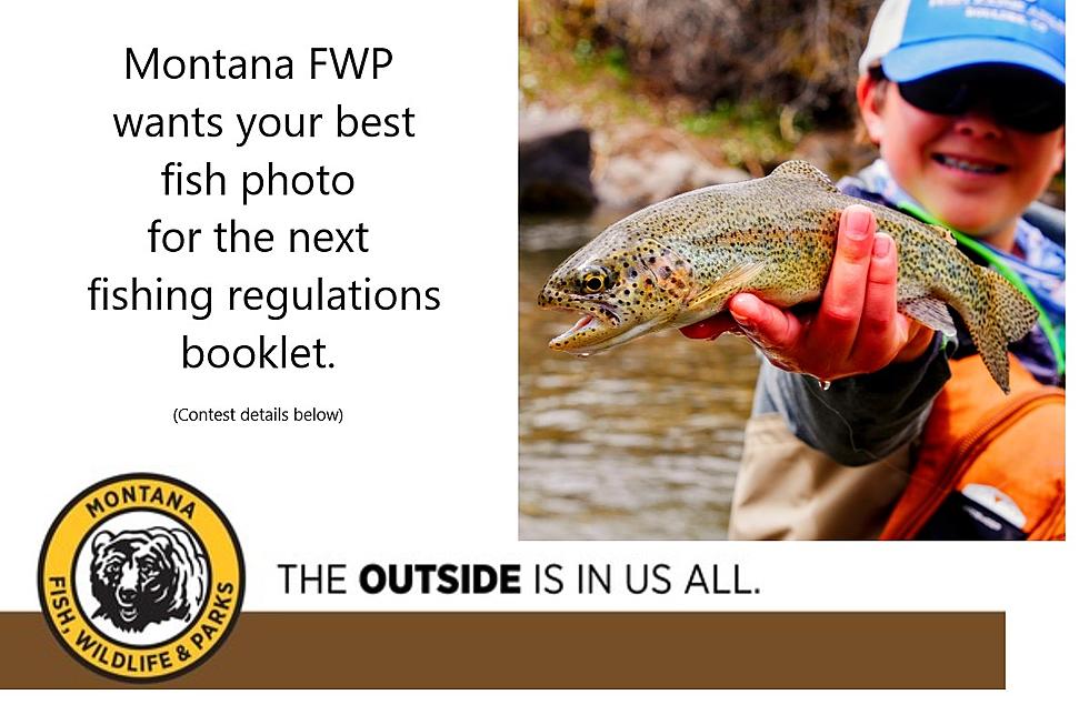 Send Montana Fish, Wildlife & Parks Your Best Fishing Photo and Art