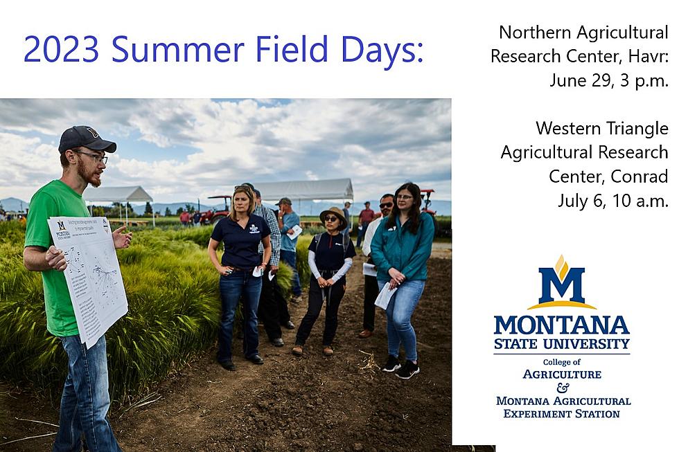 MSU Extension Ag Research Centers Will Host Field Days in June, July