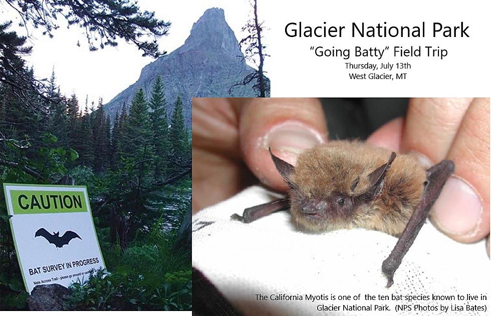 You Can Go &#8220;Batty&#8221; in Glacier National Park!