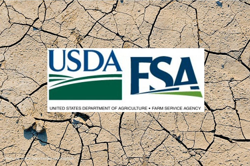 USDA Declares Glacier, Pondera Counties Drought Disaster Area