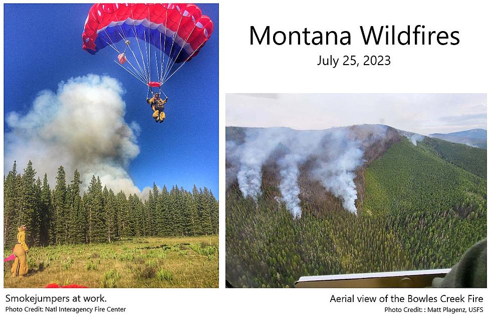 Yellowstone’s 1st Wildfire of the Season Quickly  Extinguished