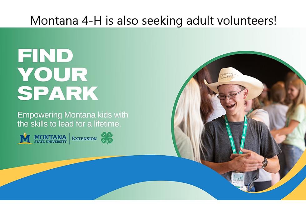 Montana 4-H Enrolling New Members, Seeking Volunteers