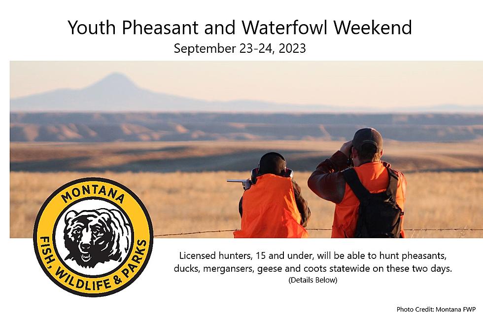 Kick-off Events Scheduled for Youth Pheasant, Waterfowl Weekend