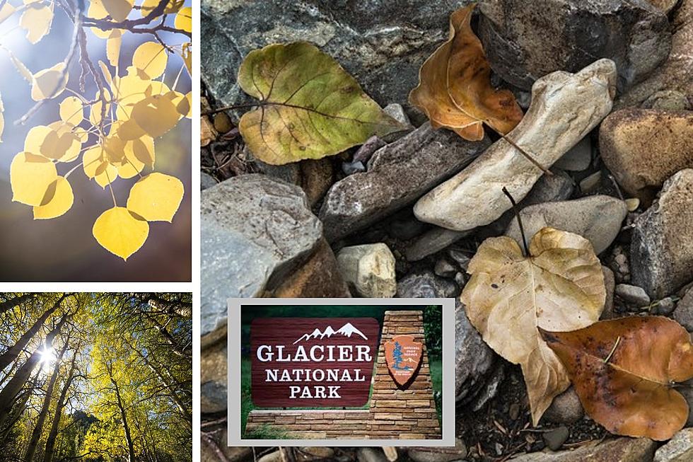 Glacier National Park Announces Fall 2023 Schedule