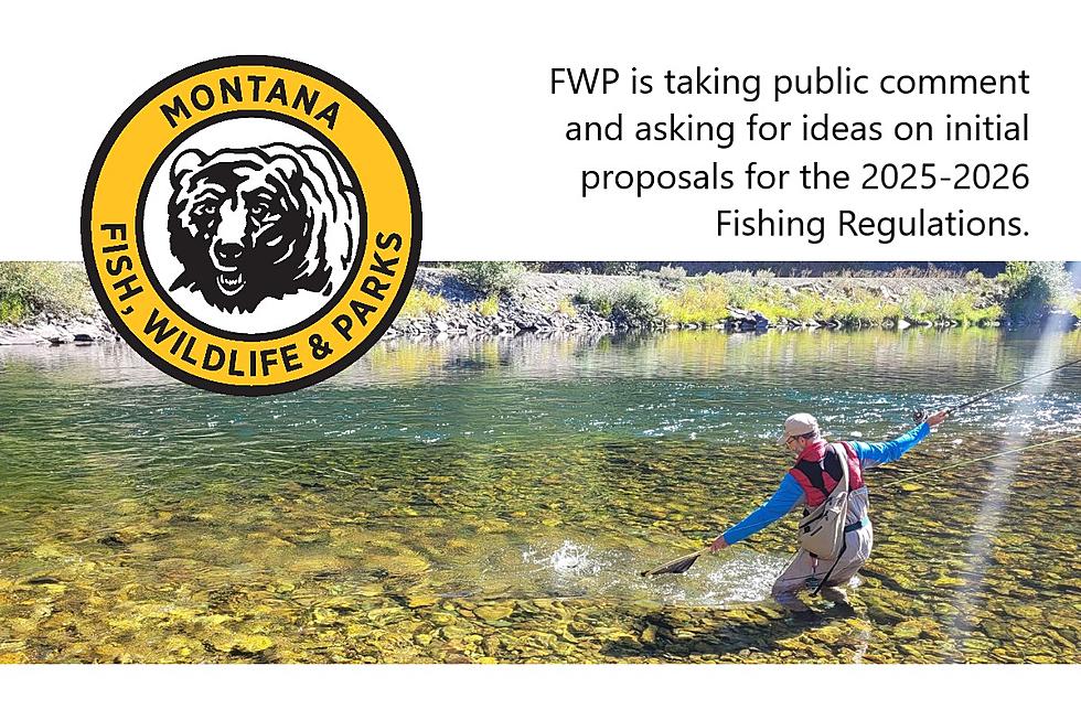 FWP: Opinions, Please, on 2025-2026 Fishing Regulations Proposals