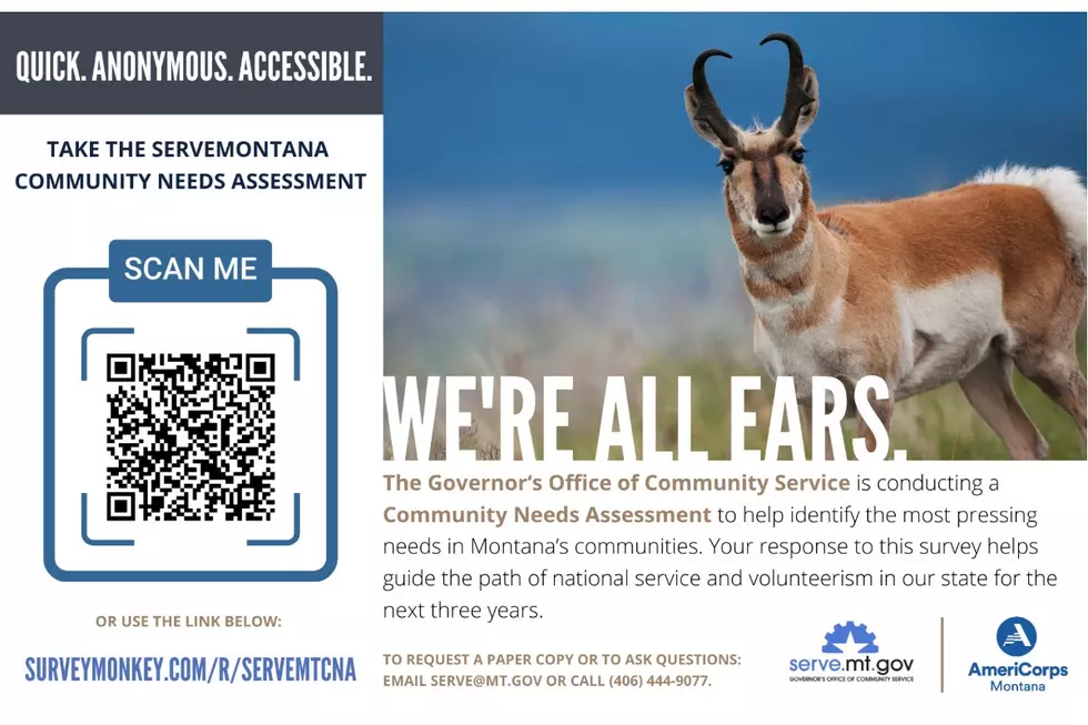 ServeMontana is “All Ears” for Input on State Service Plan