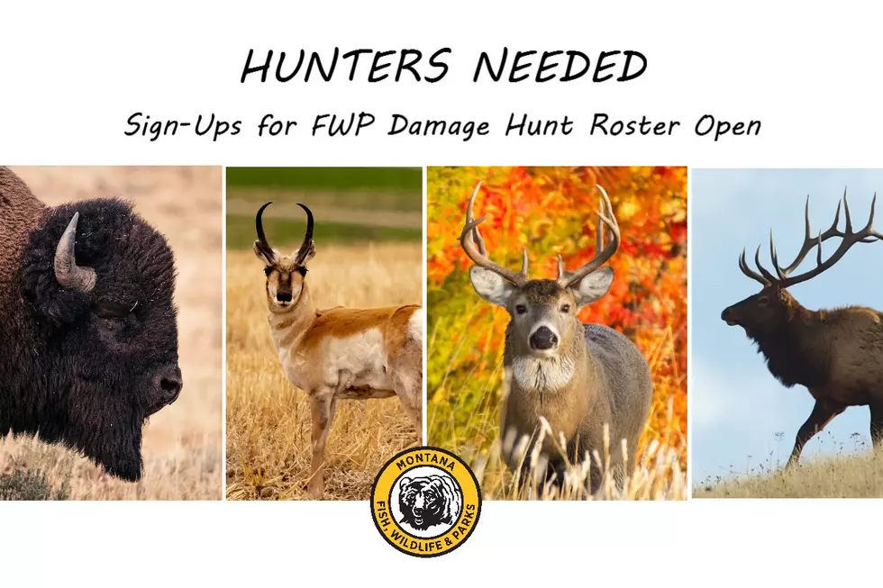 FWP Needs Hunters for Game Damage Hunt Roster