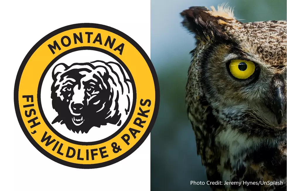 FWP: Hoot Owl Restrictions in Place for Portions of the Sun, Other Rivers