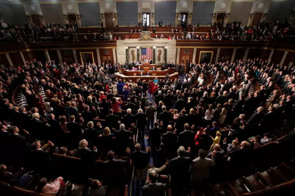 Hogs Found In House Chamber [VIDEO]