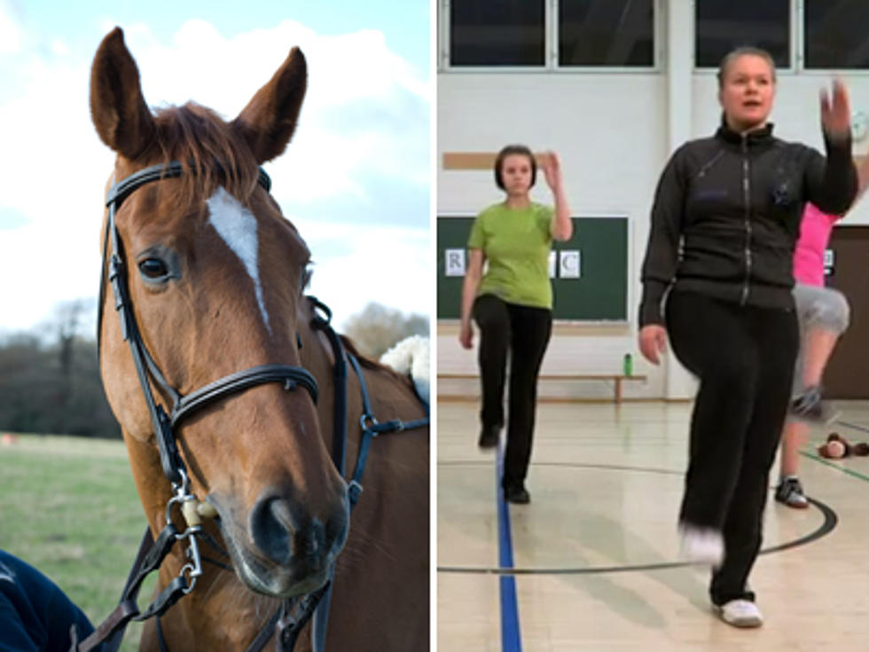 Exercise Like a Horse With ‘Horsebic’ Fitness Routine [VIDEO]