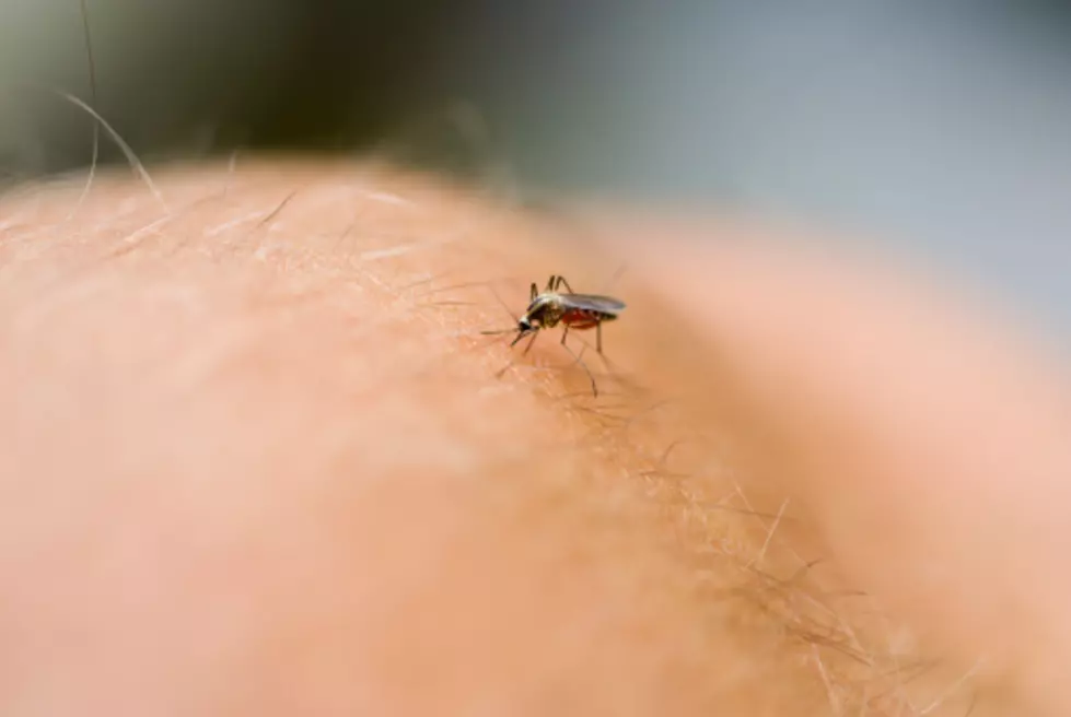 First Case of West Nile in Wichita Falls this Season