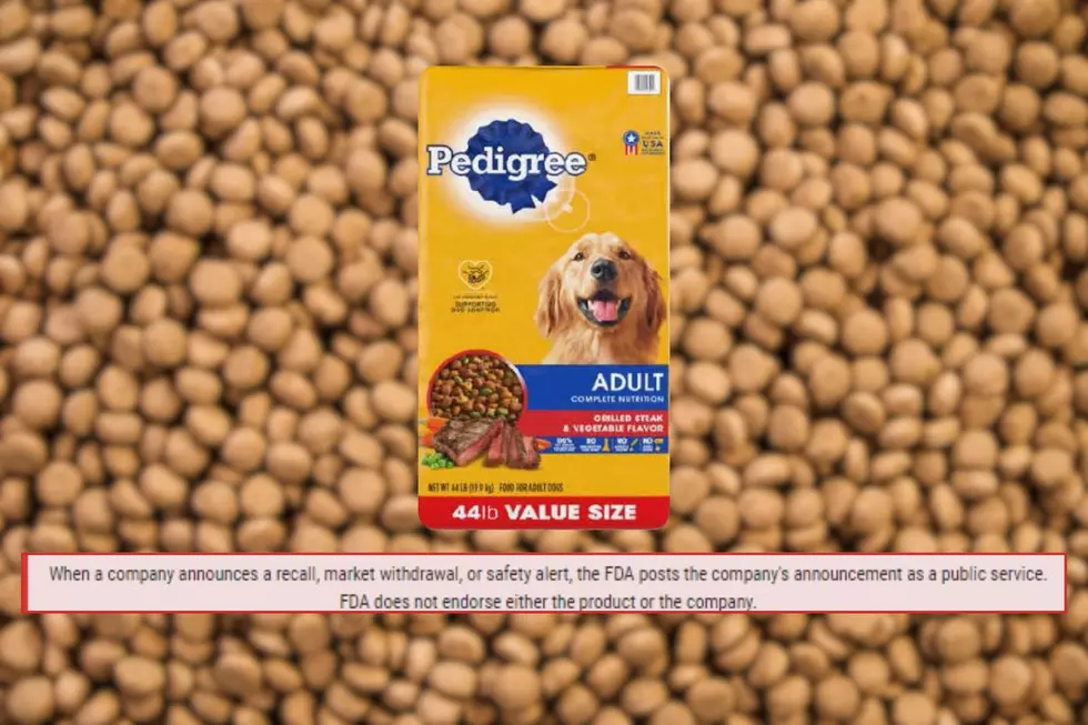 Popular Dog Food Recalled In Oklahoma, Fearing Metal Is Found