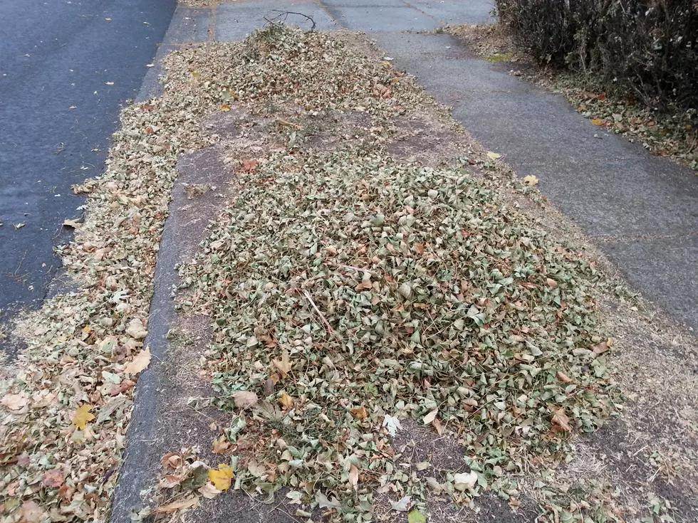 Bozeman Fall Leaf Pickup Schedule And Another Year of Disappointment