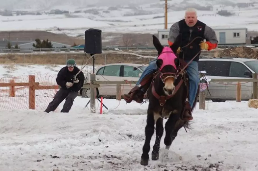 Wild West Winterfest Coming to the Gallatin County Fairgrounds February 15 &#8211; 16
