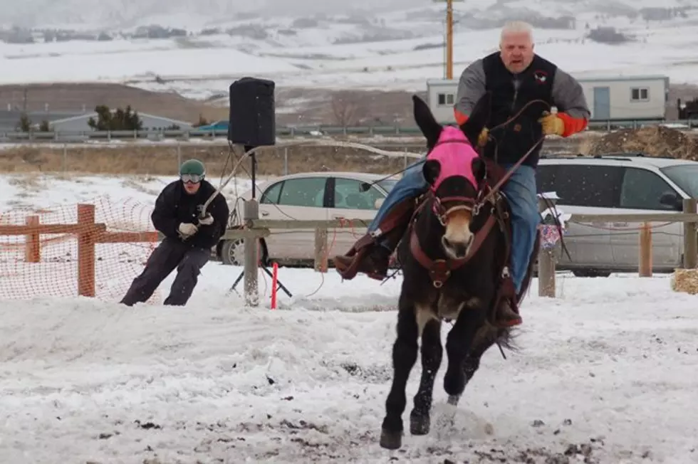 Wild West Winterfest Coming to the Gallatin County Fairgrounds February 15 – 16