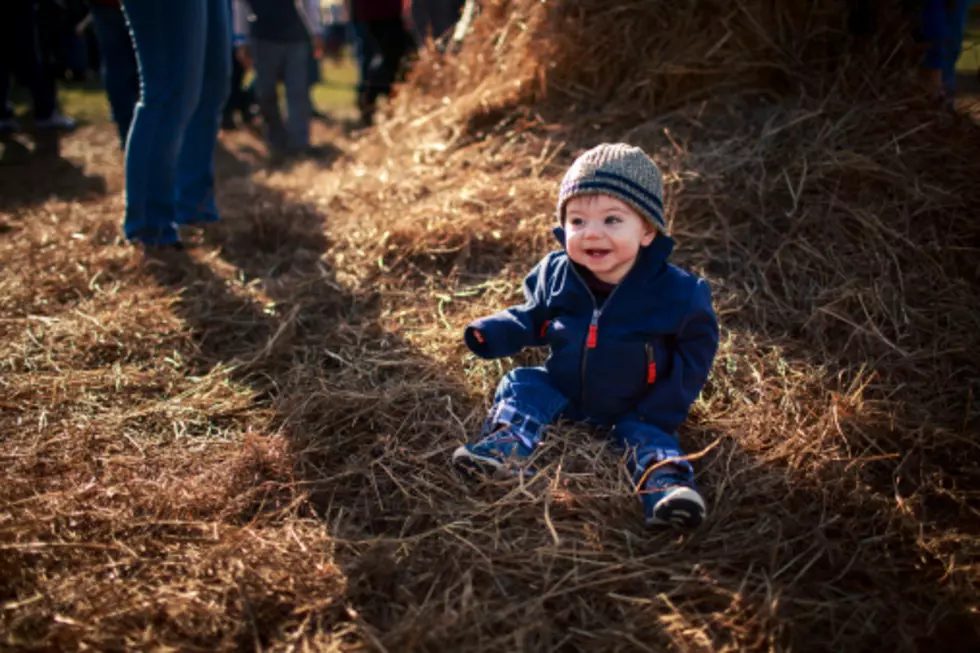 2015 Belgrade Fall Festival is Saturday, September 19