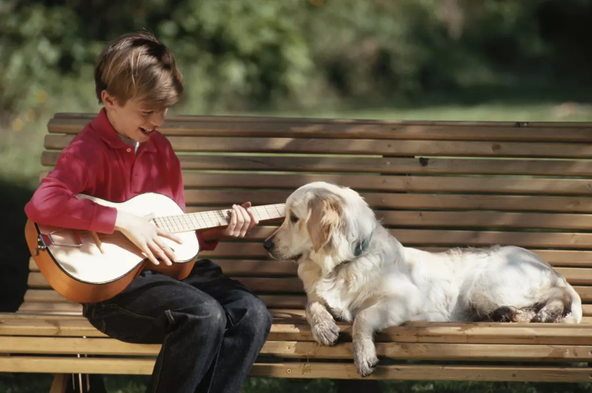 Видео собачка песня. Животные с музыкальными инструментами. Щенок с гитарой. Собака с музыкальным инструментом. Мальчик гитара собака.