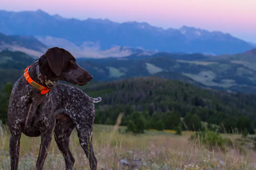 406 Brewing to Host Benefit For Heart of the Valley