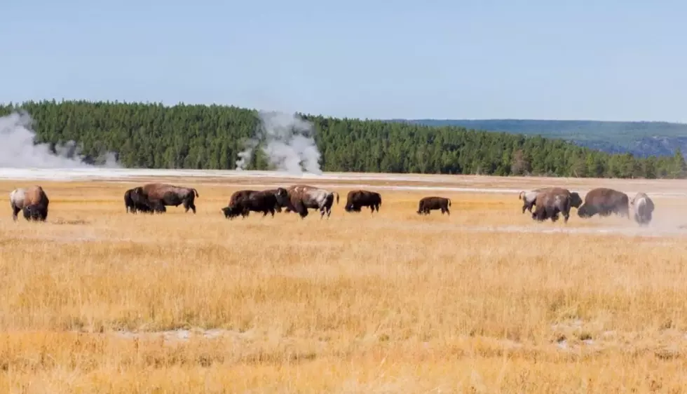 VERY Cool Yellowstone Time Lapse [VIDEO]