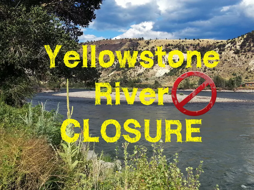 Yellowstone River CLOSED from Gardiner to Laurel Due to Parasite