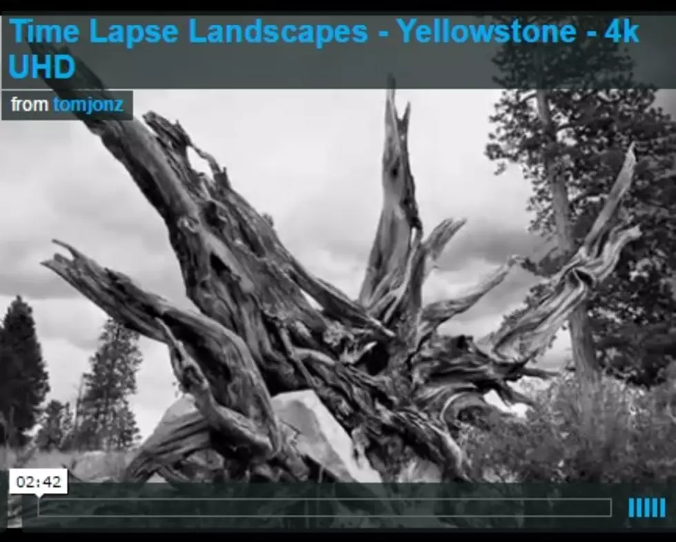 Pretty Yellowstone National Park Time Lapse [WATCH]