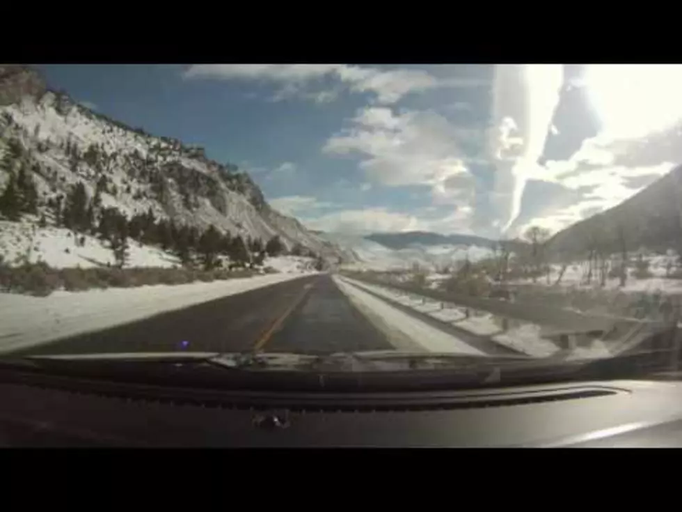 Planning a Road Trip Through Montana? You&#8217;re Going to See a Whole Lot of THIS [WATCH]