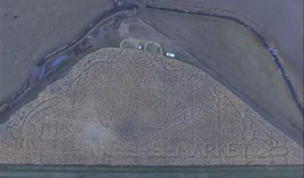 Drone Captures Awesome Fall Footage of Bozeman Maze [WATCH]