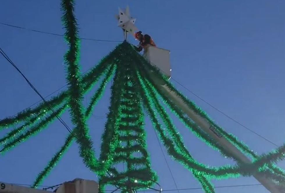 Christmas Spiders Add Festive Flare to Downtown Bozeman [WATCH]