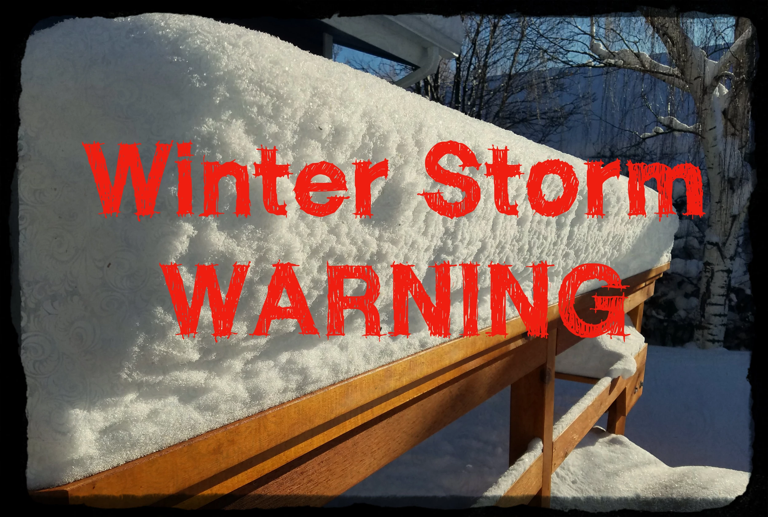 download winter storm warning