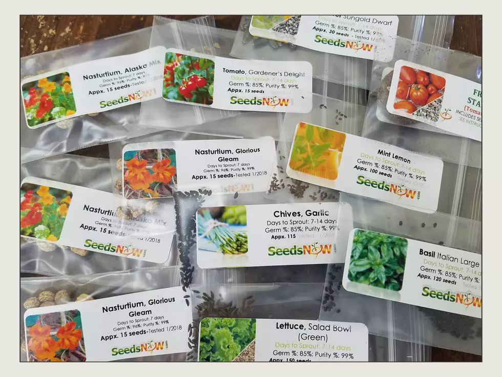 It’s Seed Season – What’s in the Wolfe Garden This Year?