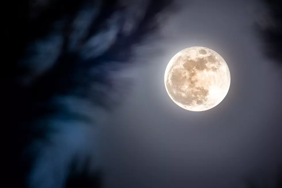 Rare Super Blood Wolf Moon Eclipse Over Bozeman This Month