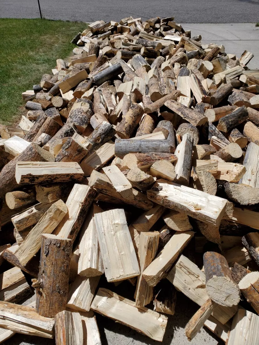 Get Firewood Done Now While You’ve Got Time, Wood is Plentiful