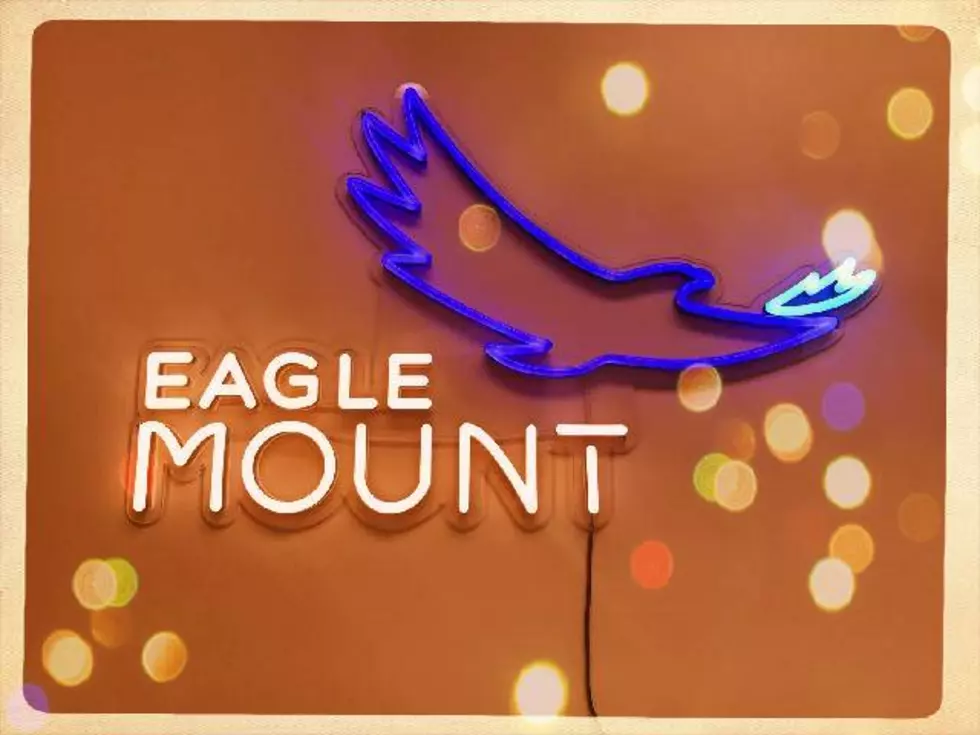 Eagle Mount’s Fall Virtual Auction is This Weekend