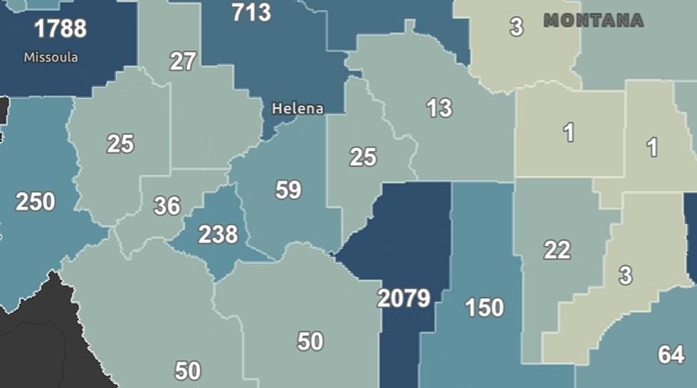 Yet Again, Gallatin County Tops New Montana COVID-19 Cases: 503 New