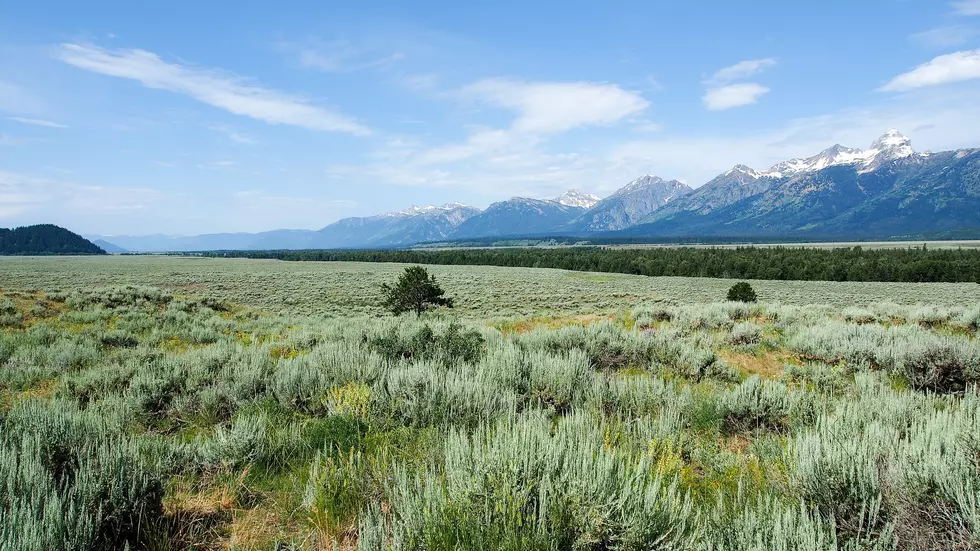 Why Nobody Lives in Wyoming, Explained