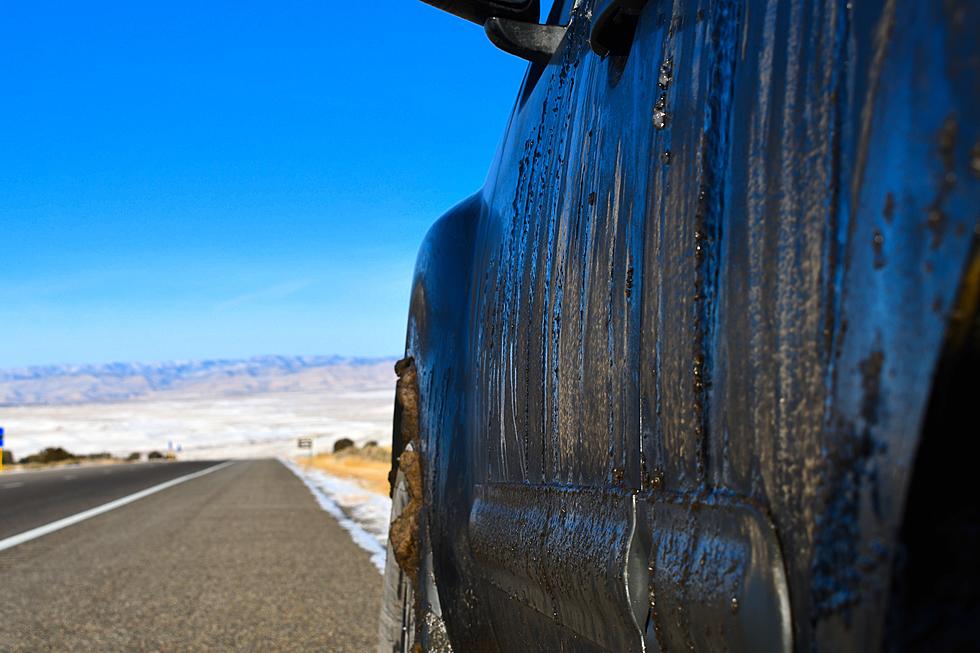 Montanans Offer Their Best 5 Words Of Helpful Springtime Driving Advice