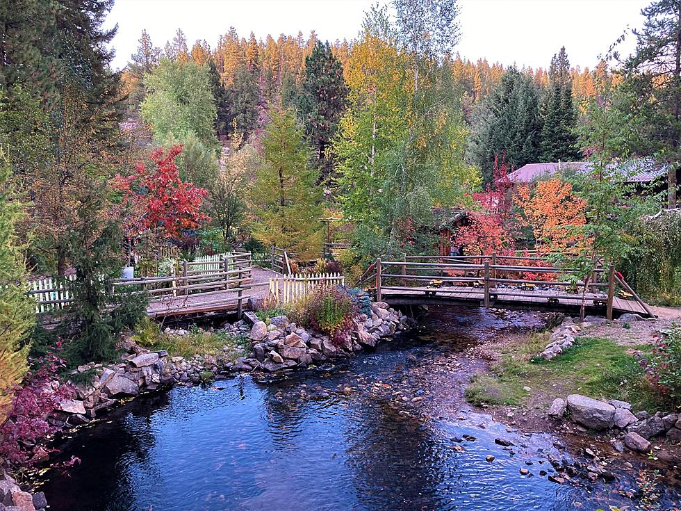 Discover The Stunning Beauty Of Tizer Botanic Gardens.Arboretum In Montana