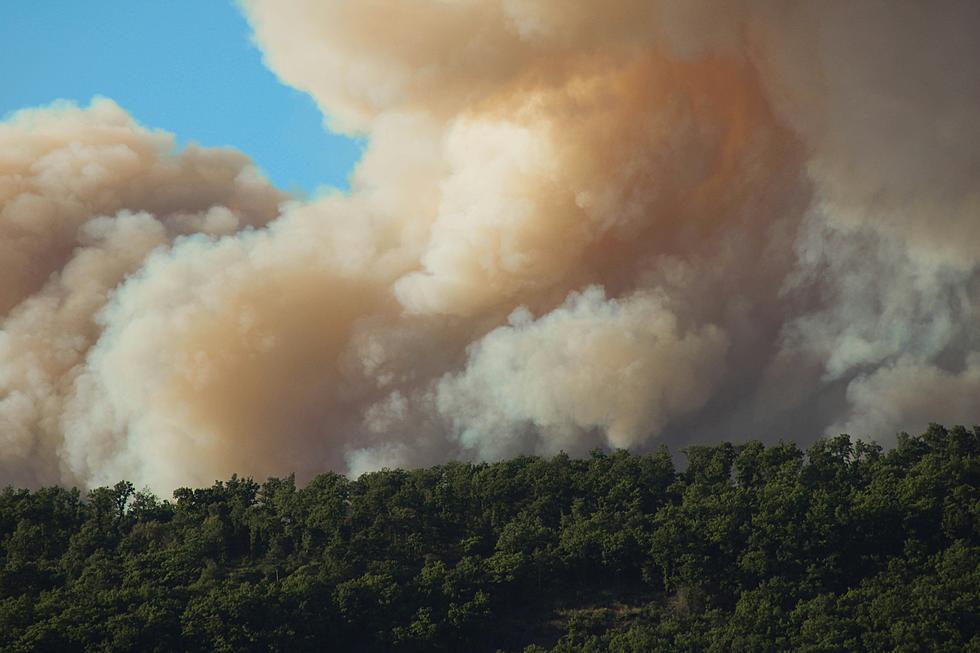 Montana Braces For Potential Nightmare Fire Season Amidst Lack Of Snowfall