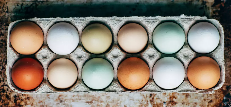 Photo by Kelly Neil on Unsplash