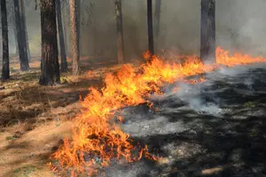 Massive Wildfire in Montana Destroys Beloved Local Ski Area