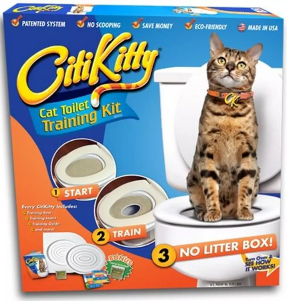 Cat Toilet-Training Kit Is a Real Thing From CitiKitty