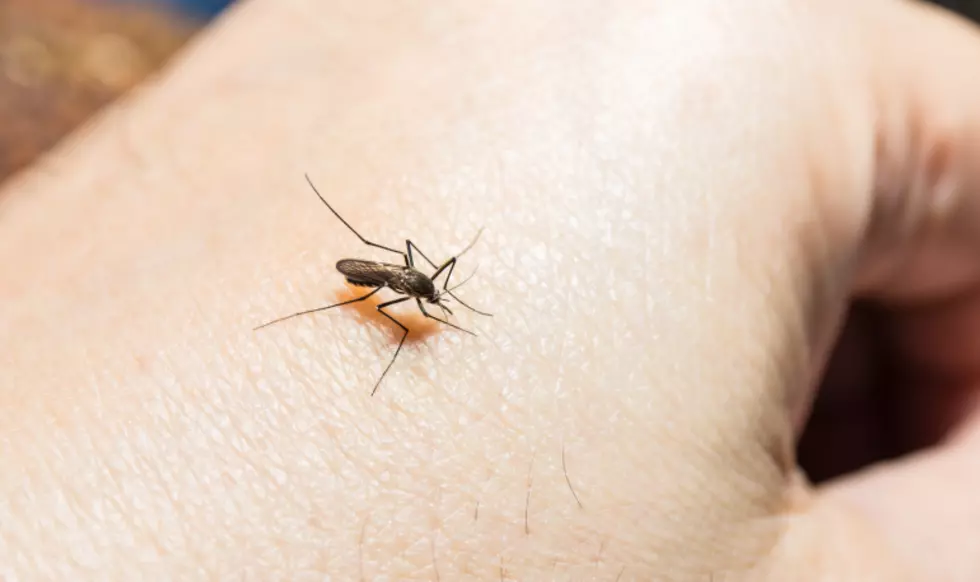 6 New Cases of West Nile In Benton/Franklin Counties