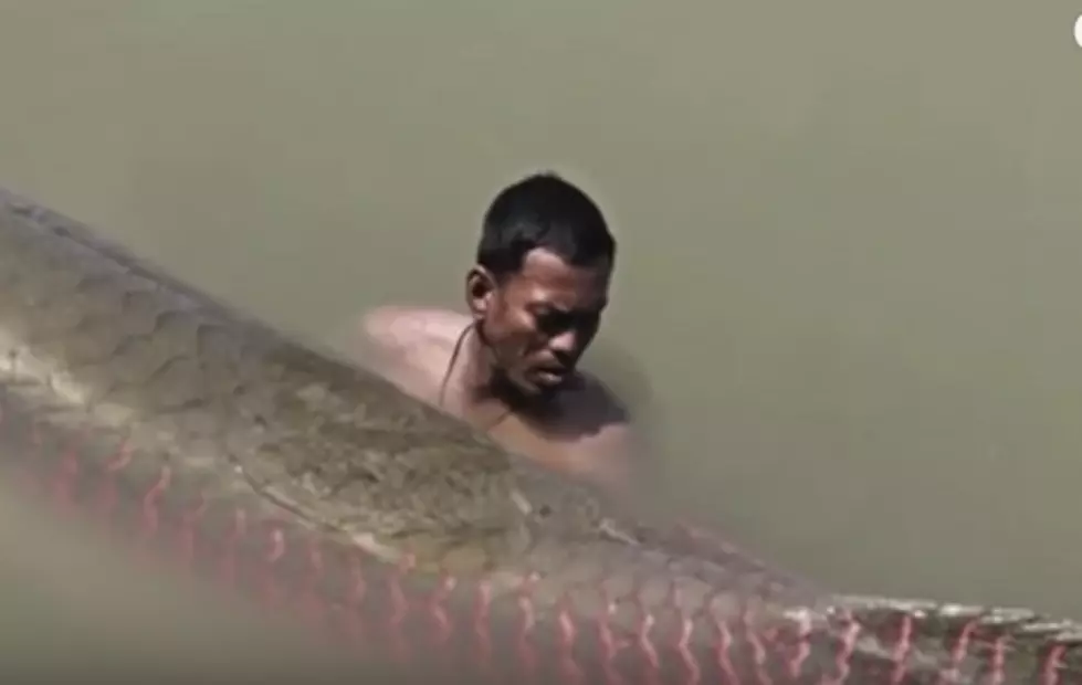 An &#8216;Aripaima&#8217; River Monster Lurking in the Columbia?