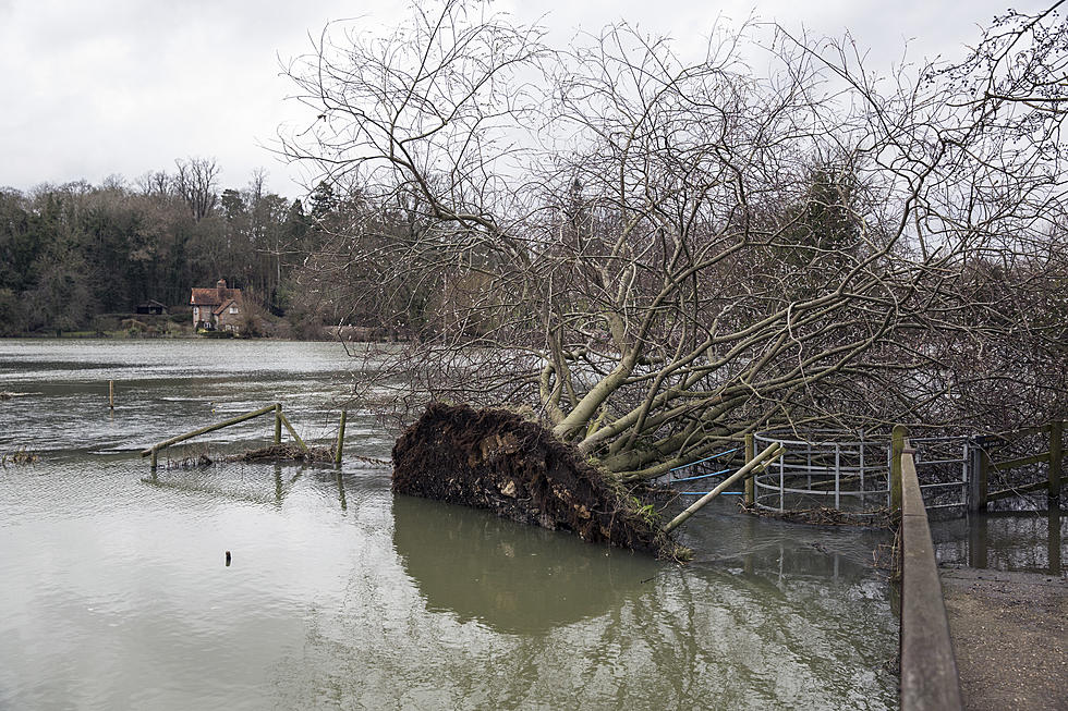 Experts Chime in on a Potential Flooded Tri-Cities