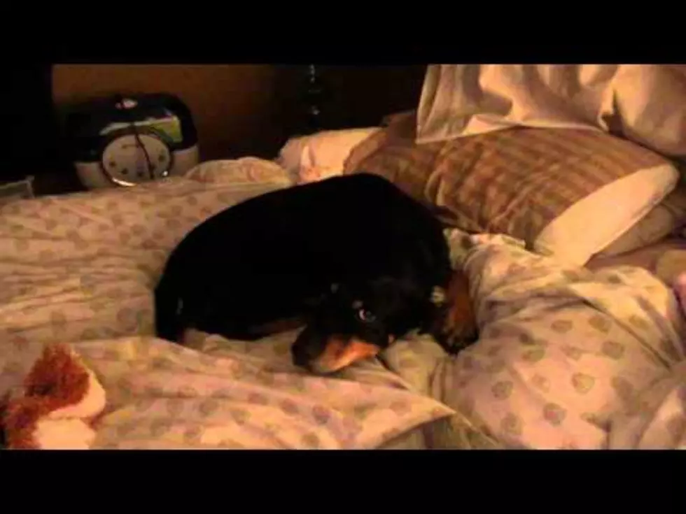 Faith Martin-‘Caught Two Snoozers in my Bed! [VIDEO]