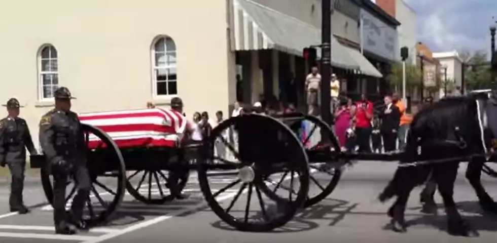Retired Military Horses Who Pulled Dead Soldiers Caskets for Burial Up for Adoption!