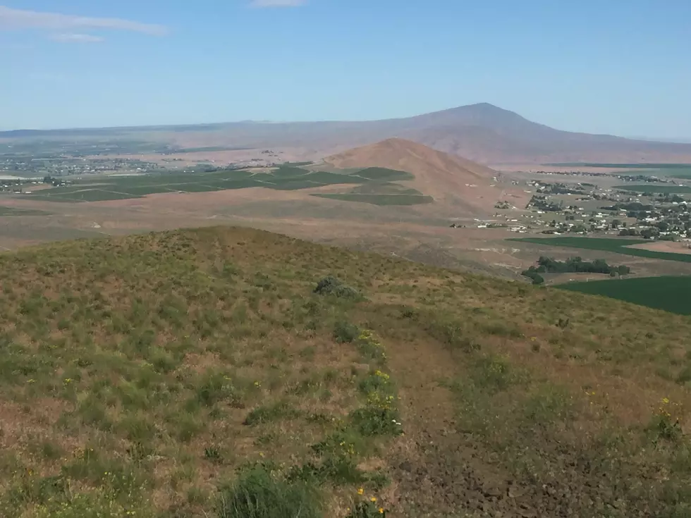 See My 10 Gorgeous Views While Hiking Candy Mountain This Morning! [VIDEO]